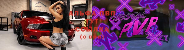 PSILOCYBIN Беломорск