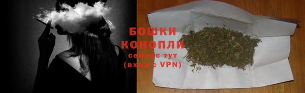 PSILOCYBIN Беломорск
