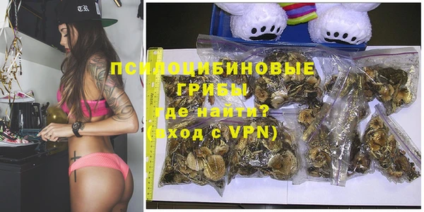 PSILOCYBIN Беломорск
