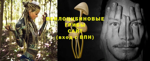 PSILOCYBIN Беломорск