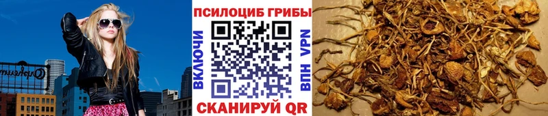 darknet Telegram  Козьмодемьянск  Галлюциногенные грибы прущие грибы 